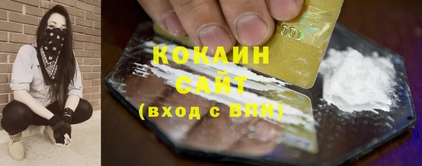 гидра Вяземский