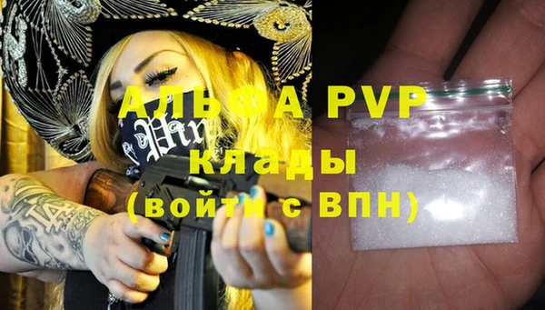 гидра Вяземский