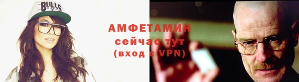 гидра Вяземский