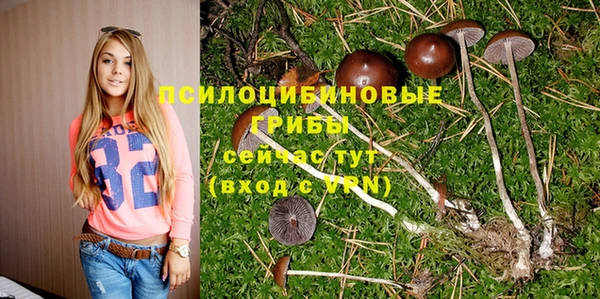 гидра Вяземский