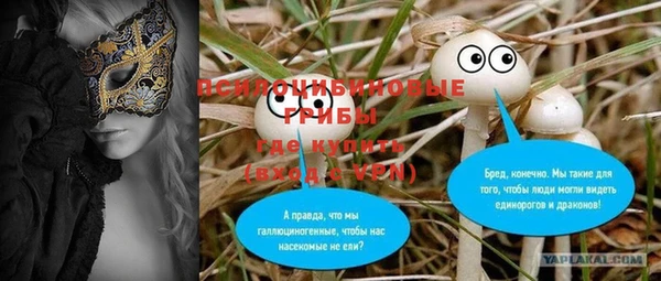 ГАЛЛЮЦИНОГЕННЫЕ ГРИБЫ Вязники