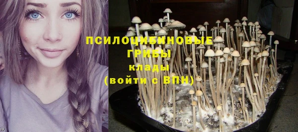 бутират Вязьма