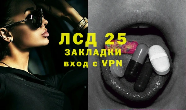 гидра Вяземский