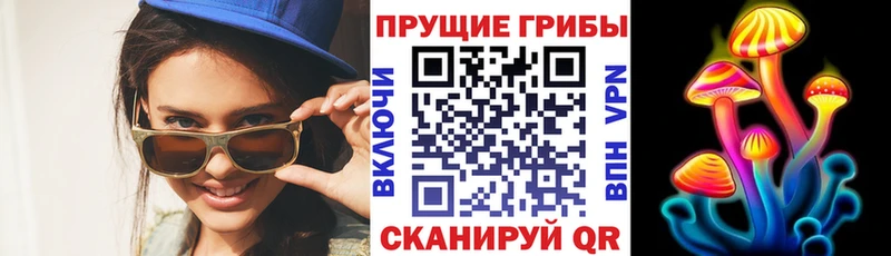 Псилоцибиновые грибы мицелий  Осинники 