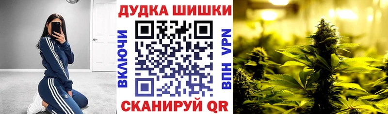 МАРИХУАНА планчик  где продают наркотики  omg зеркало  Осинники 